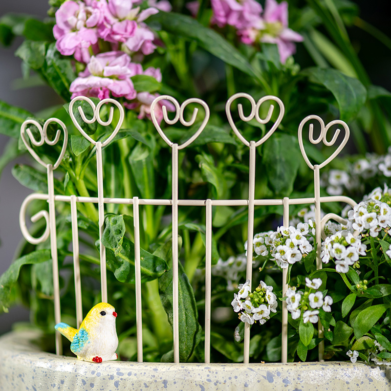 Succulent Arrangement Mini - รั้วกระถางดอกไม้เหล็กขนาดเล็ก ดีไซน์แปลกตา ของตกแต่งสวนสร้างสรรค์ สำหรับจัดสวนจิ๋ว DIY สวนเทพนิยาย