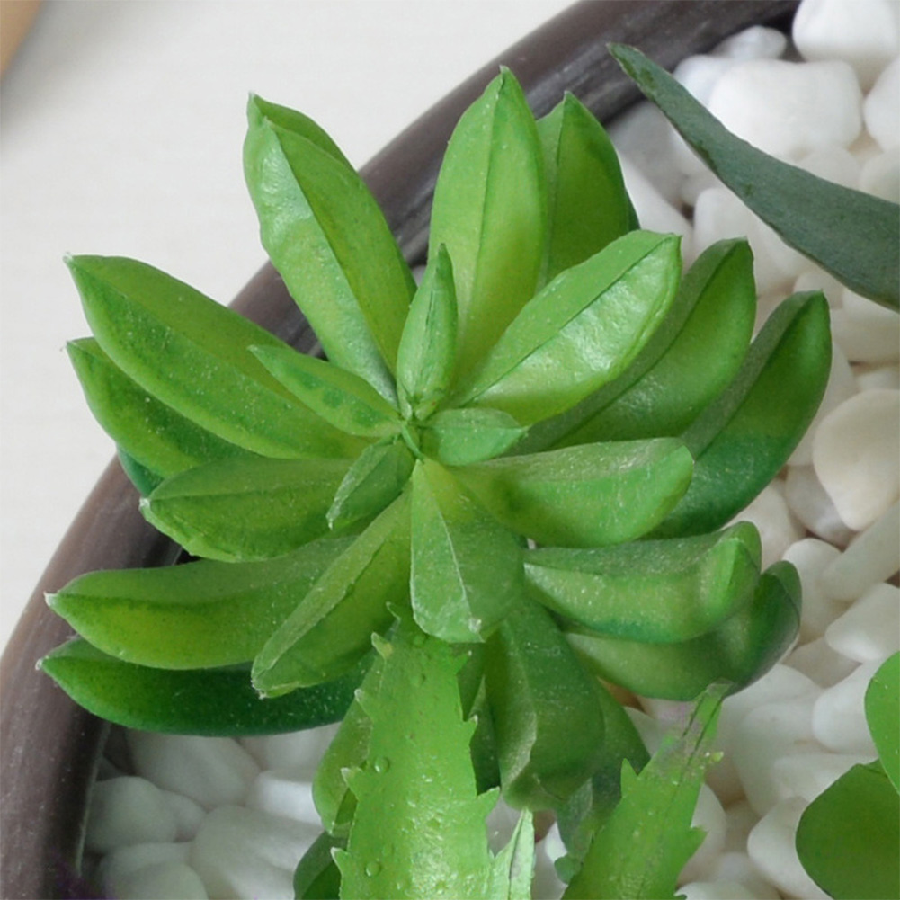 Succulent Arrangement Mini - การจัดวางต้นไม้ประดิษฐ์แบบซัคคูเลนท์สไตล์มินิบอนไซร่วมสมัย สำหรับตกแต่งภายในที่อยู่อาศัยและพื้นที่เชิงพาณิชย์