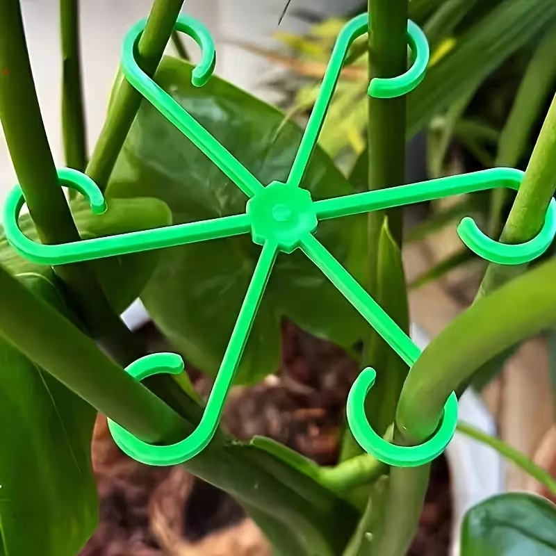 ชุดอุปกรณ์พยุงก้านต้นไม้ 8 ชิ้ - Variegated Monstera Node บทวิจารณ์และราคา