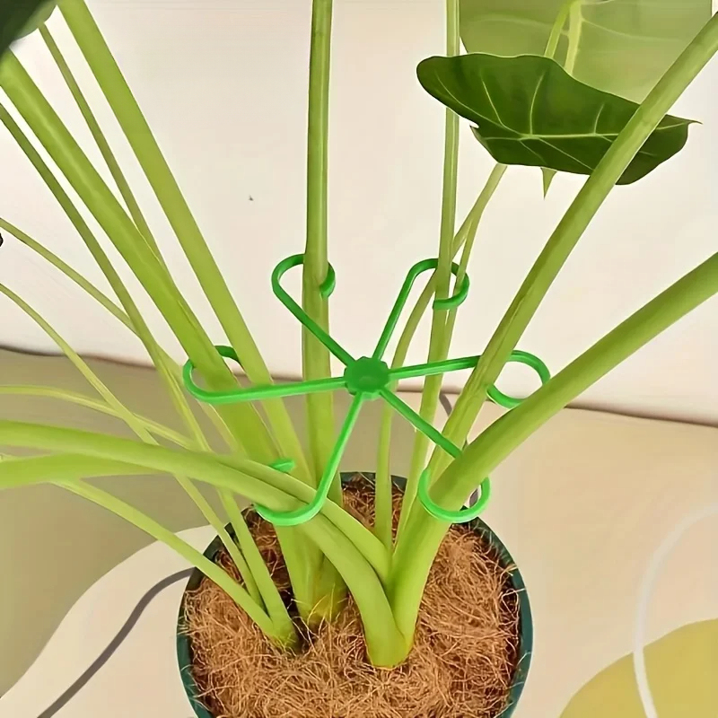 ชุดอุปกรณ์พยุงก้านต้นไม้ 8 ชิ้ - Variegated Monstera Node บทวิจารณ์และราคา