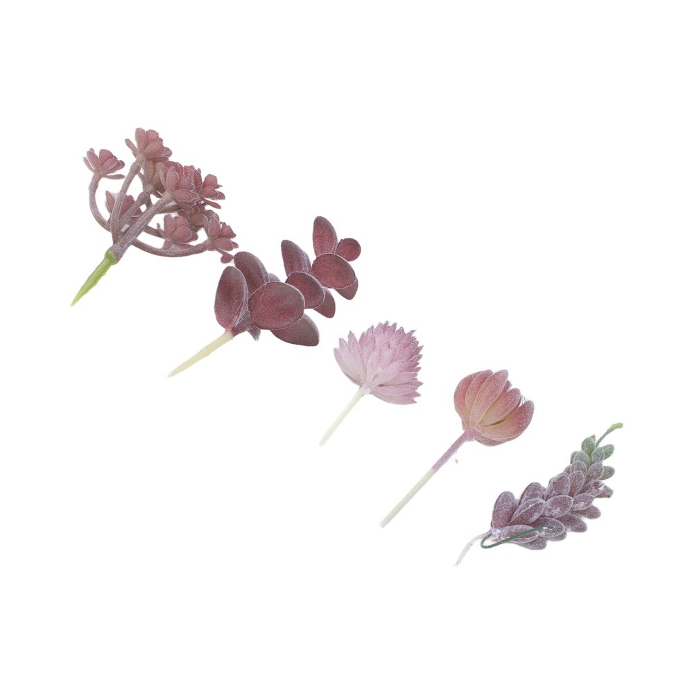 ต้นไม้ประดิษฐ์สำหรับจัดตกแต่งม - Succulent Arrangement Mini บทวิจารณ์และราคา