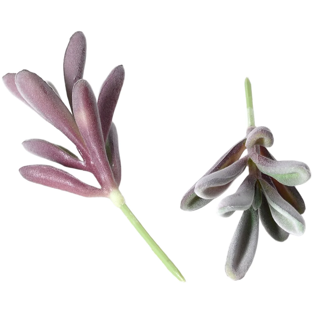 พืชประดิษฐ์ PVC สีม่วงแบบฟล็อก - Succulent Arrangement Mini บทวิจารณ์และราคา