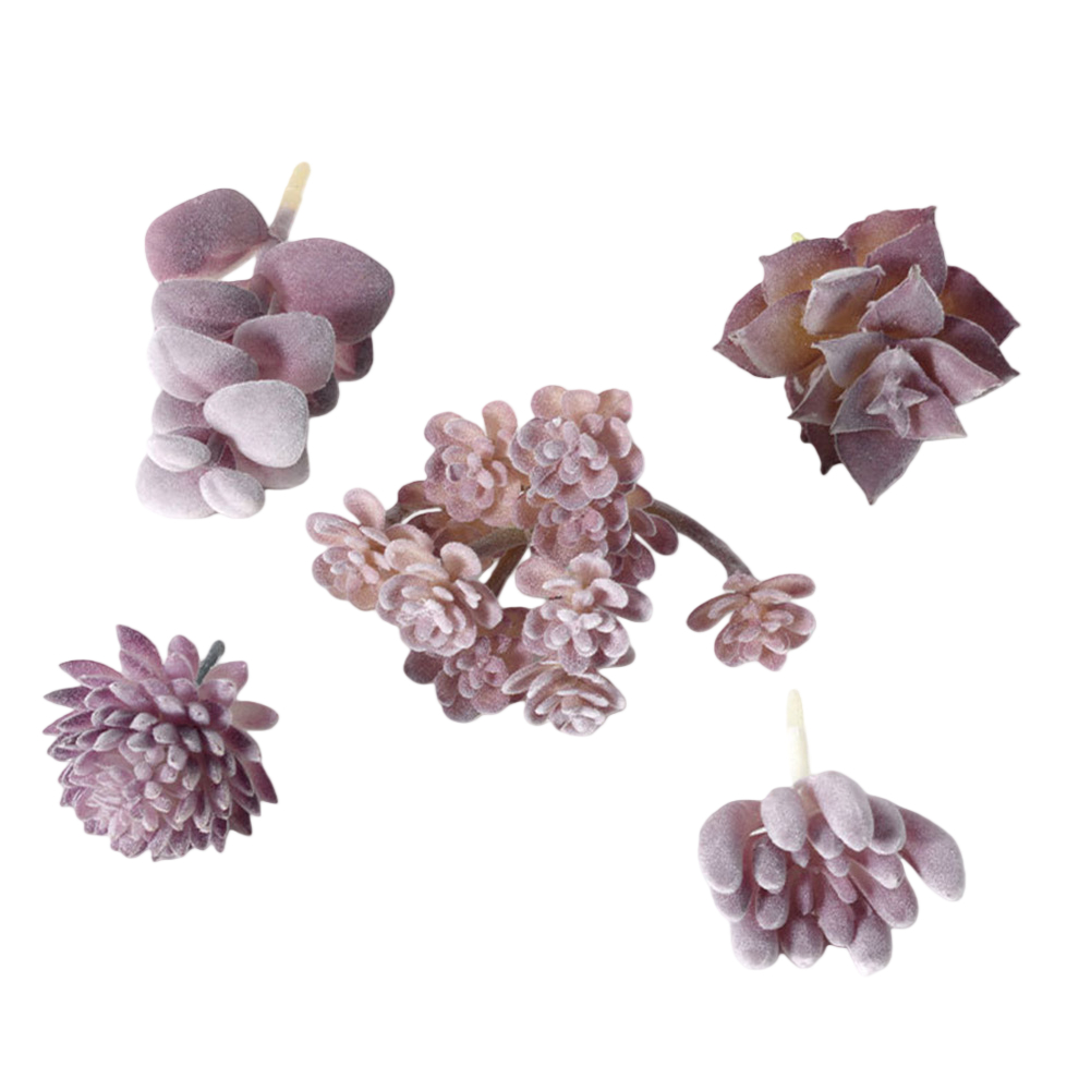 พลาสติกสำหรับจัดวางต้นไม้ขนาดเ - Succulent Arrangement Mini บทวิจารณ์และราคา