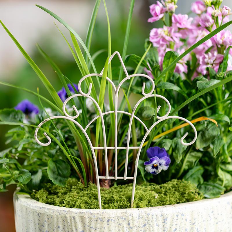 รั้วกระถางดอกไม้เหล็กขนาดเล็ก  - Succulent Arrangement Mini บทวิจารณ์และราคา