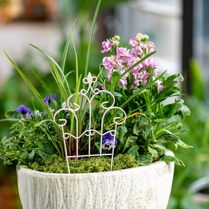 รั้วกระถางดอกไม้เหล็กขนาดเล็ก  - Succulent Arrangement Mini บทวิจารณ์และราคา