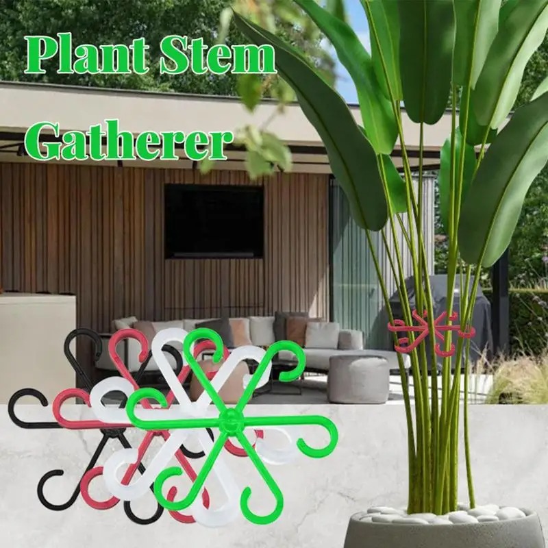 4pcs พืชปีนเขาสนับสนุนคลิปดอกไ - Variegated Monstera Node บทวิจารณ์และราคา