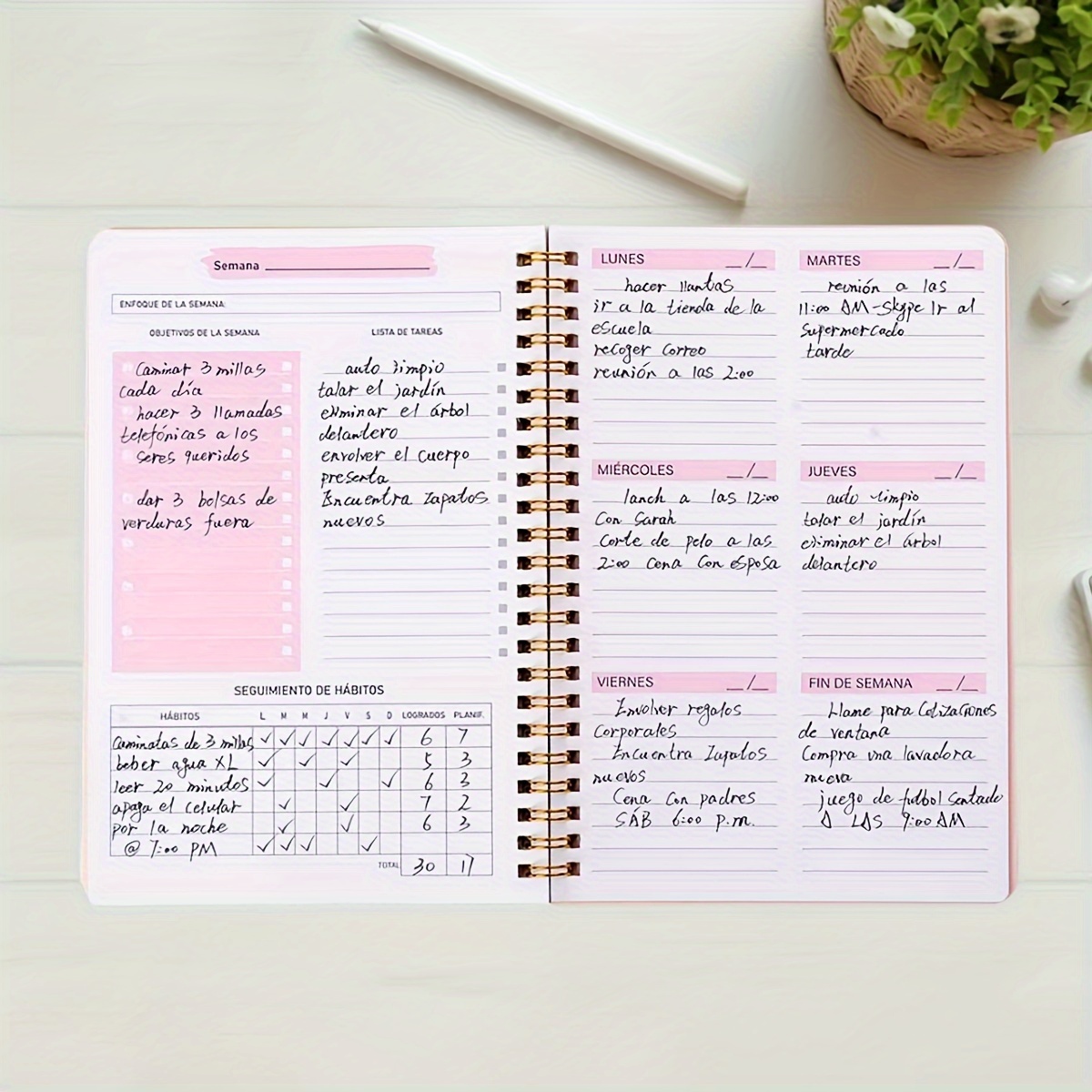 คู่มือวางแผนรายสัปดาห์ภาษาอังก - Planned Parenthood บทวิจารณ์และราคา