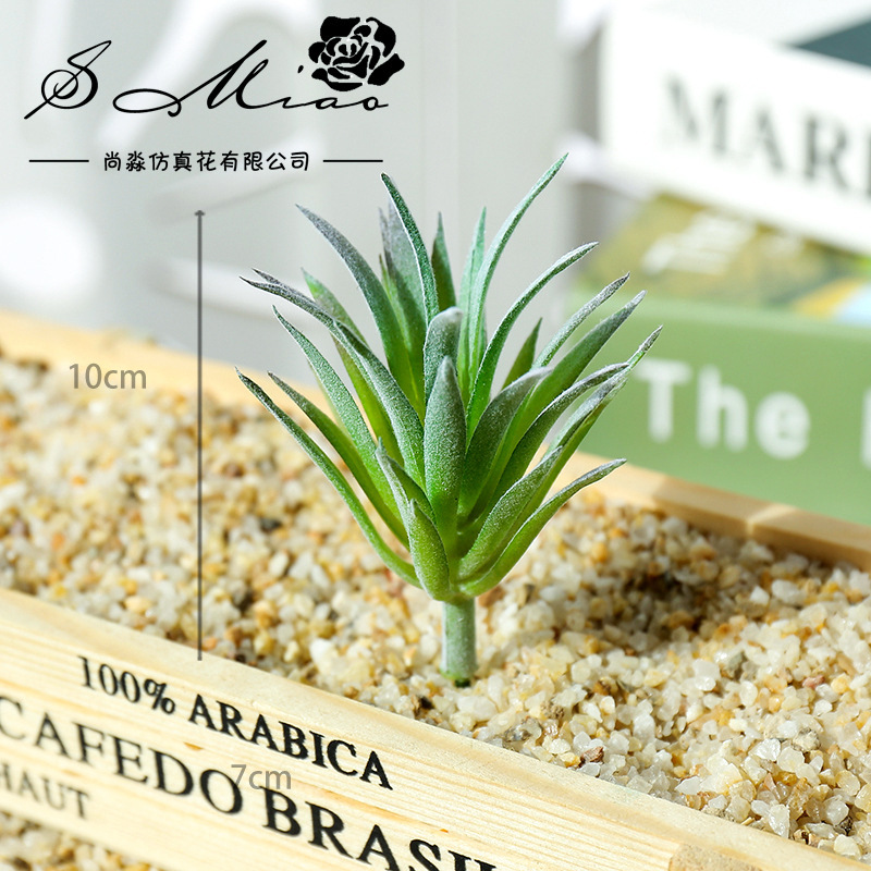 ต้นไม้ประดิษฐ์ขนาดเล็ก 7.5x10  - Succulent Arrangement Mini บทวิจารณ์และราคา