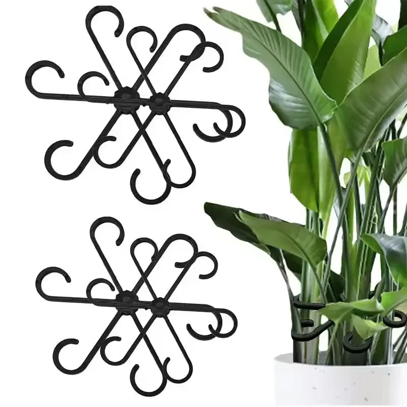 ที่ค้ำใบอะโลคาเซีย มอนสเตอร่า  - Variegated Monstera Node บทวิจารณ์และราคา
