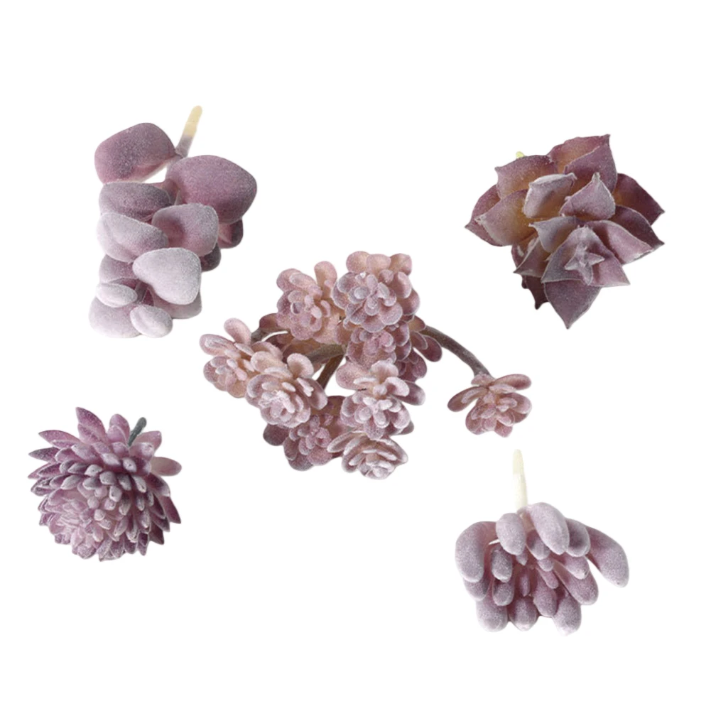 ดูแลง่ายสำหรับการจัดวางต้นบอนไ - Succulent Arrangement Mini บทวิจารณ์และราคา