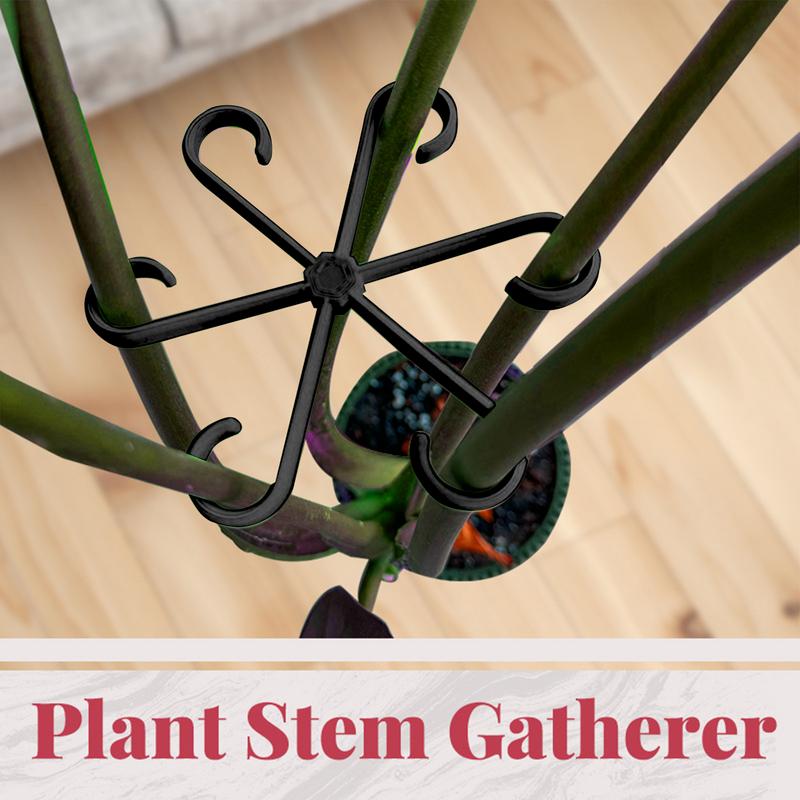 4pcs พืชปีนเขาสนับสนุนคลิปดอกไ - Variegated Monstera Node บทวิจารณ์และราคา