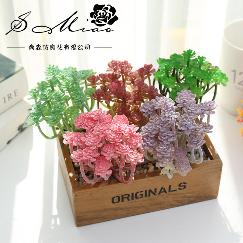 Wusmart ต้นไม้อวบน้ำประดิษฐ์ X - Succulent Arrangement Mini บทวิจารณ์และราคา