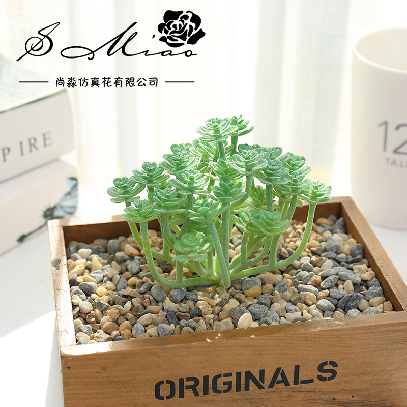 Wusmart ต้นไม้อวบน้ำประดิษฐ์ X - Succulent Arrangement Mini บทวิจารณ์และราคา