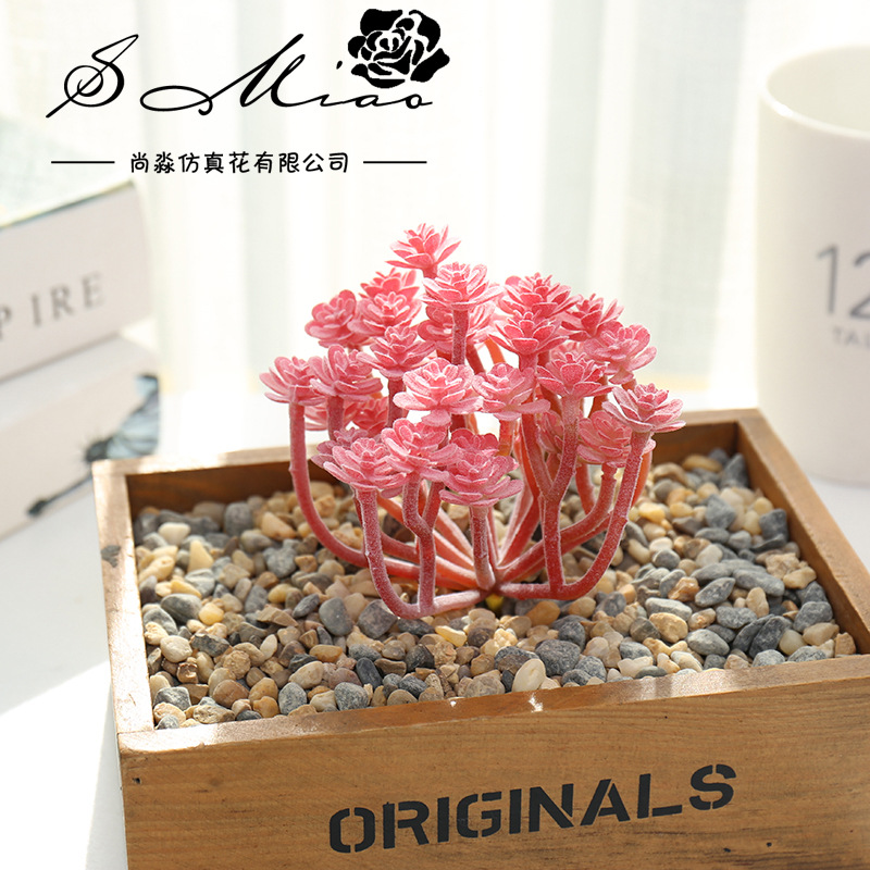 Wusmart ต้นไม้อวบน้ำประดิษฐ์ X - Succulent Arrangement Mini บทวิจารณ์และราคา