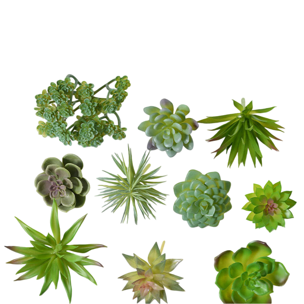 ชุดตกแต่งต้นไม้ประดิษฐ์แบบมินิ - Succulent Arrangement Mini บทวิจารณ์และราคา