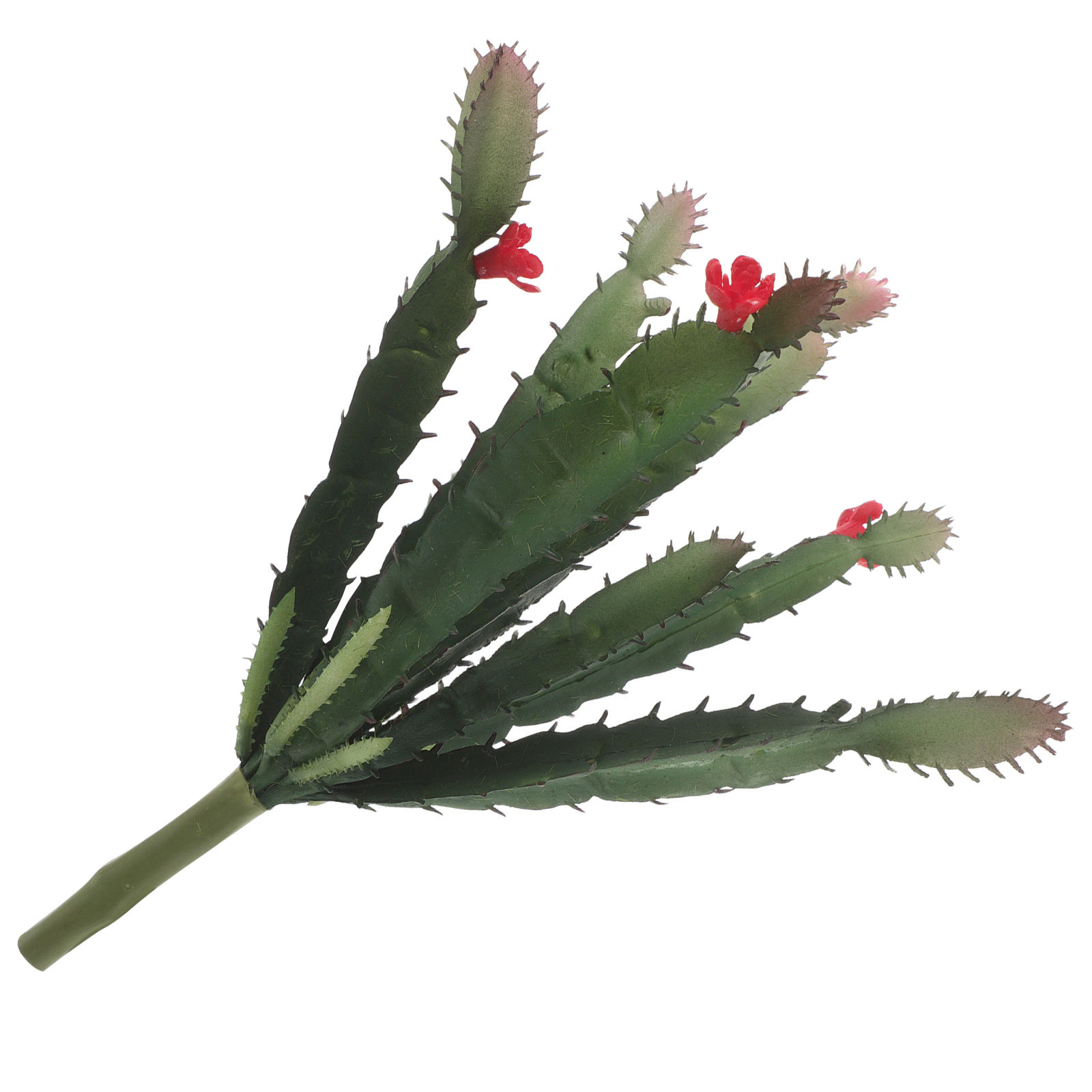 ชุดดอกไม้ประดิษฐ์แบบจำลองต้นกร - Succulent Arrangement Mini บทวิจารณ์และราคา