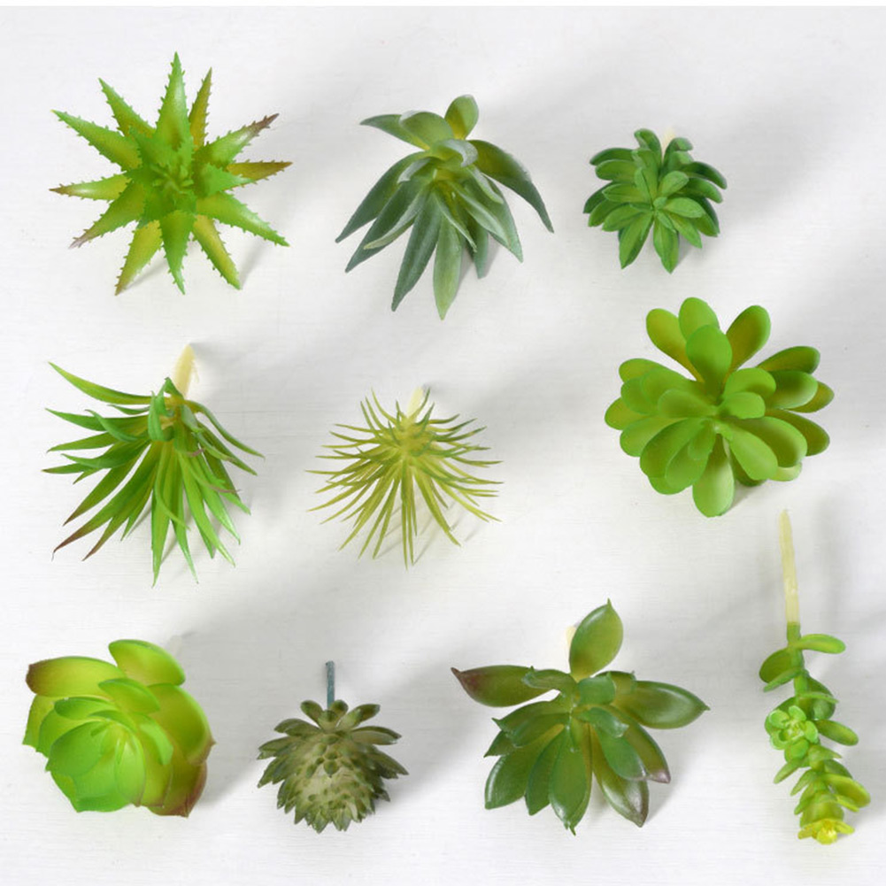 กระถางต้นไม้จิ๋วสวยงามสำหรับจั - Succulent Arrangement Mini บทวิจารณ์และราคา