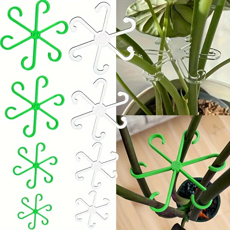 คลิปหนีบต้นไม้เลื้อย 4 ชิ้น ชุ - Variegated Monstera Node บทวิจารณ์และราคา