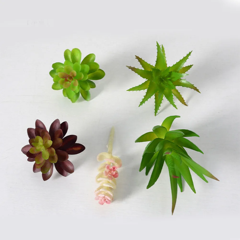 กระถางต้นไม้จิ๋วสวยงามสำหรับจั - Succulent Arrangement Mini บทวิจารณ์และราคา