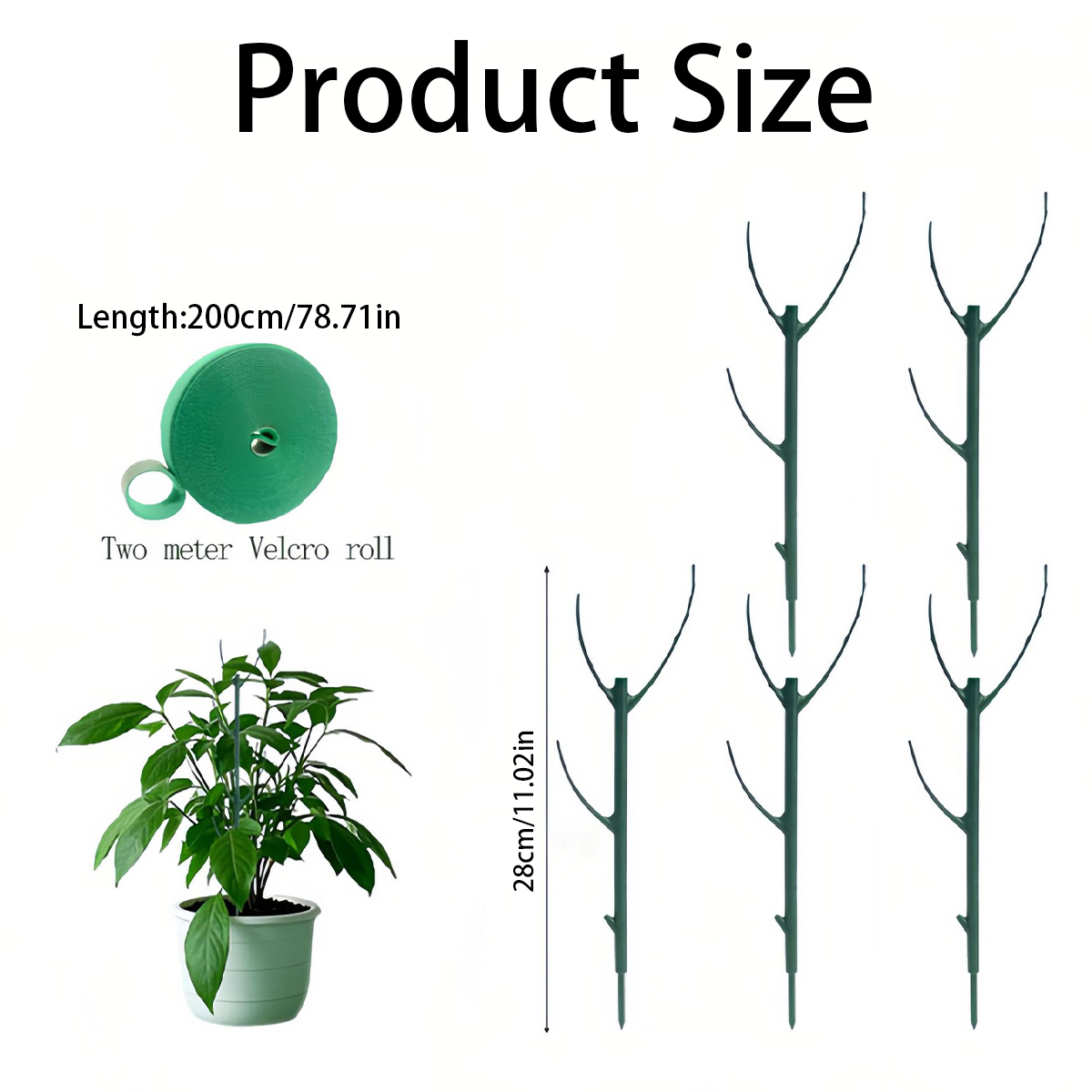 เสาค้ำต้นไม้แบบมอนสเตอร่า 6 ชิ - Variegated Monstera Node บทวิจารณ์และราคา
