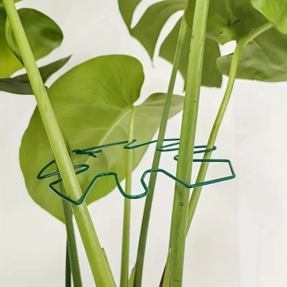 ขาตั้งต้นไม้ขนาดใหญ่ 1 ชิ้น พร - Variegated Monstera Node บทวิจารณ์และราคา