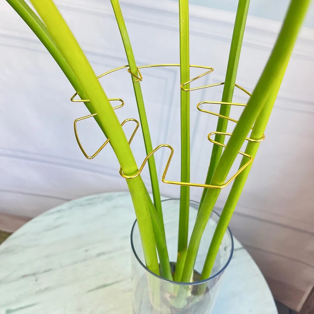 ขาตั้งต้นไม้ขนาดใหญ่ 1 ชิ้น พร - Variegated Monstera Node บทวิจารณ์และราคา