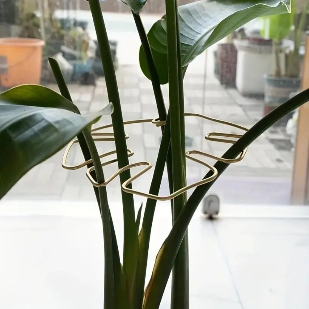 ขาตั้งต้นไม้ขนาดใหญ่ 1 ชิ้น พร - Variegated Monstera Node บทวิจารณ์และราคา