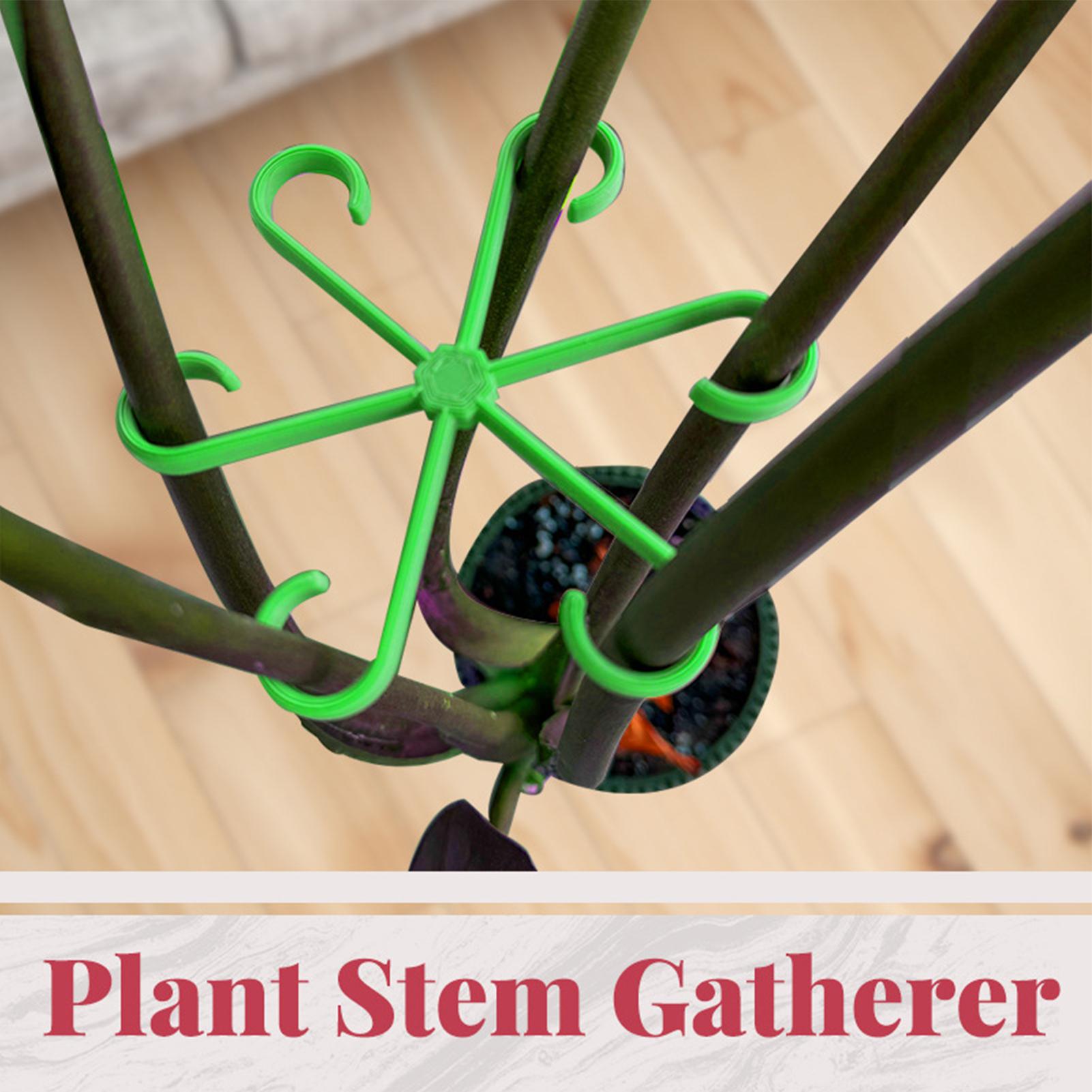 คลิปหนีบก้านต้นไม้ 4 ชิ้น สำหร - Variegated Monstera Node บทวิจารณ์และราคา