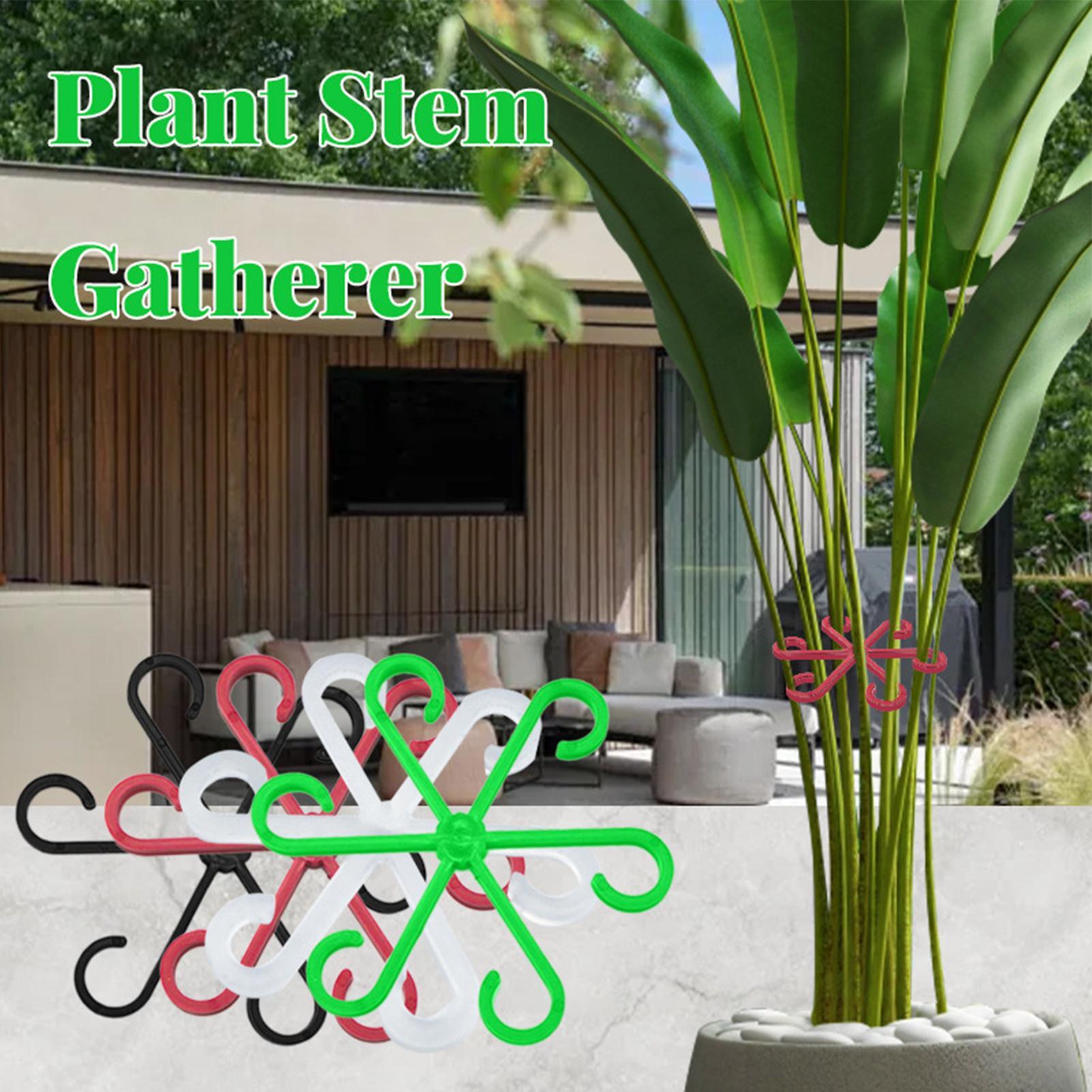คลิปหนีบก้านต้นไม้ 4 ชิ้น สำหร - Variegated Monstera Node บทวิจารณ์และราคา