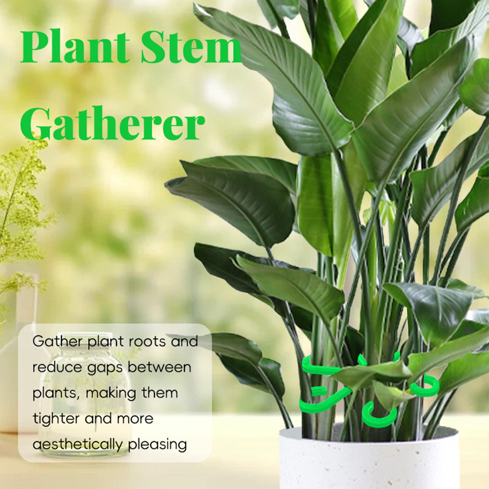 คลิปหนีบก้านต้นไม้ 4 ชิ้น สำหร - Variegated Monstera Node บทวิจารณ์และราคา