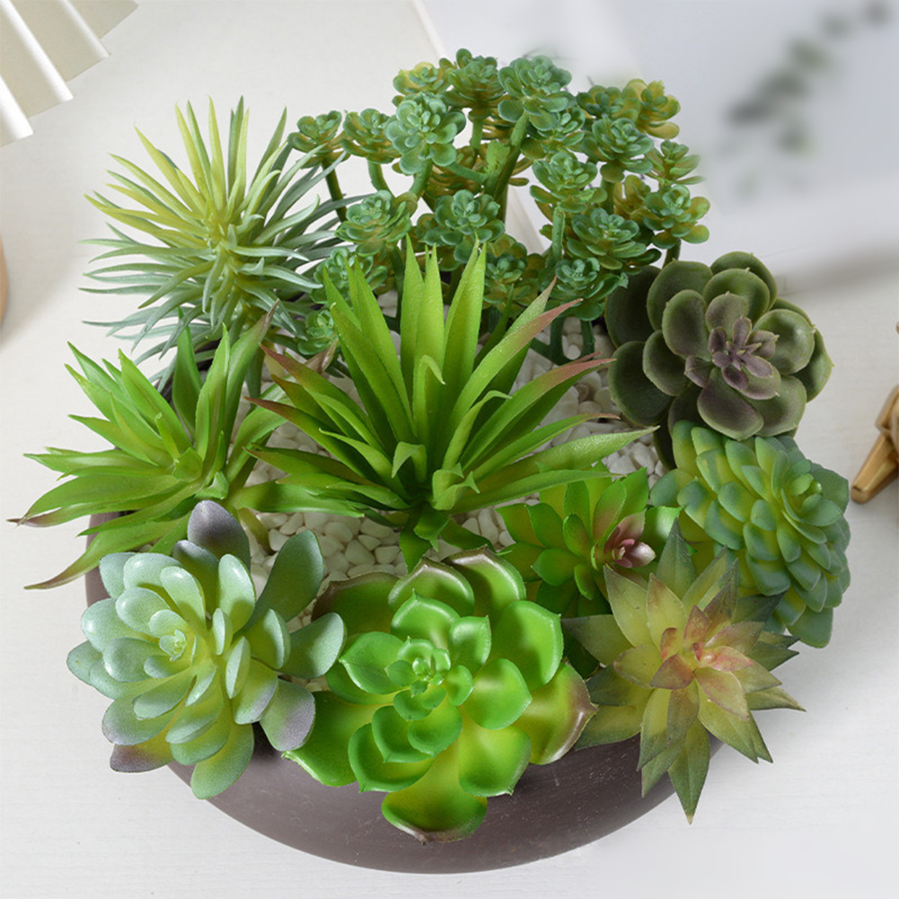 อุปกรณ์ประกอบฉากถ่ายภาพสำหรับจ - Succulent Arrangement Mini บทวิจารณ์และราคา