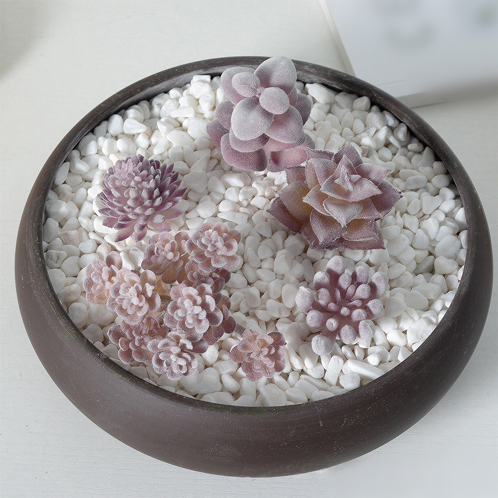 อุปกรณ์ประกอบฉากถ่ายภาพสำหรับจ - Succulent Arrangement Mini บทวิจารณ์และราคา