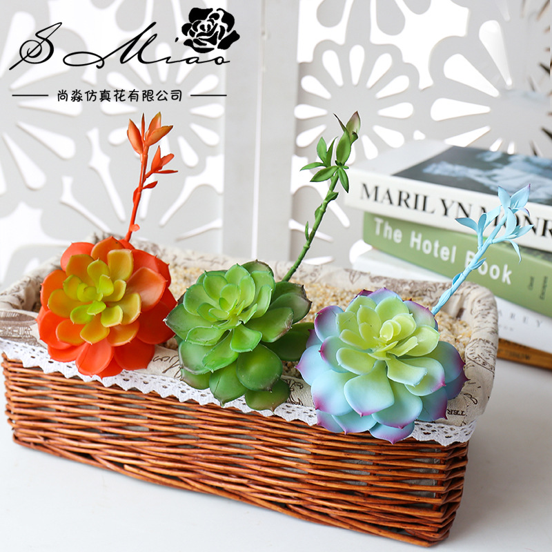 Wusmart Zhong Shi Lian ต้นไม้อ - Succulent Arrangement Mini บทวิจารณ์และราคา