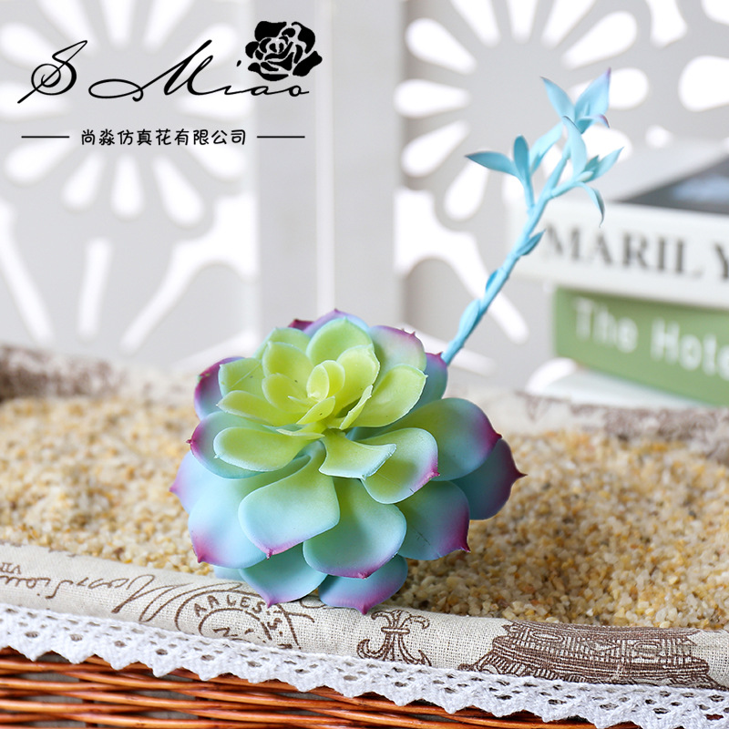 Wusmart Zhong Shi Lian ต้นไม้อ - Succulent Arrangement Mini บทวิจารณ์และราคา