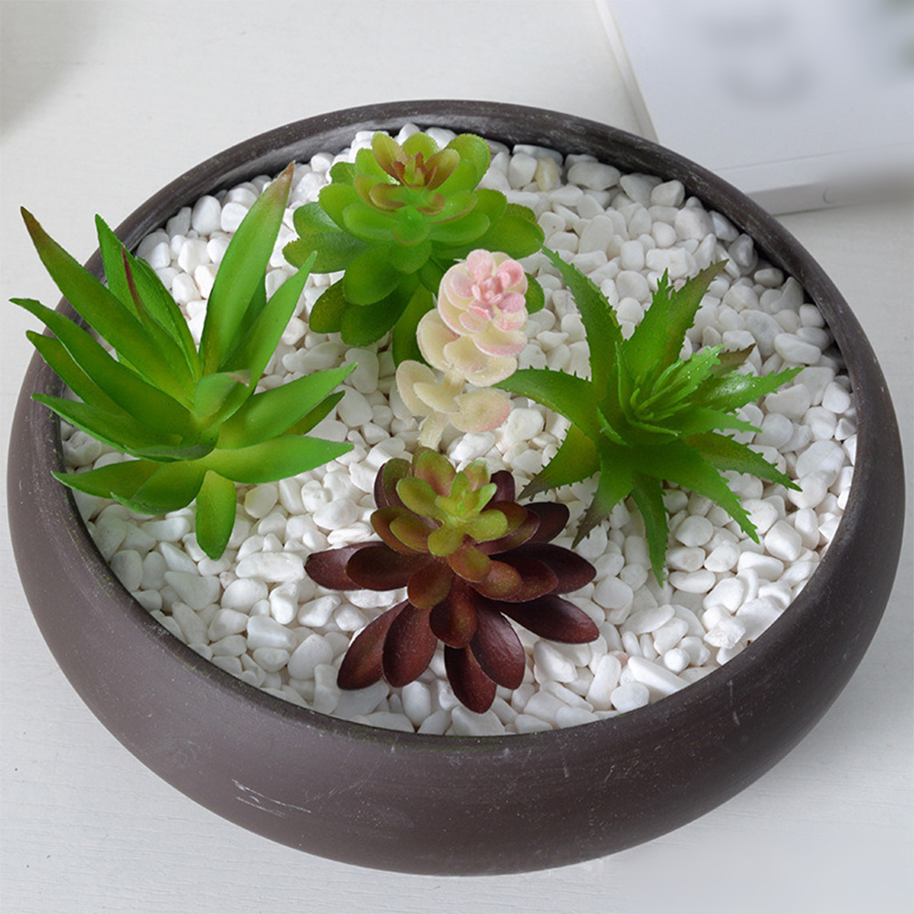 การจัดวางต้นไม้ประดิษฐ์แบบซัคค - Succulent Arrangement Mini บทวิจารณ์และราคา