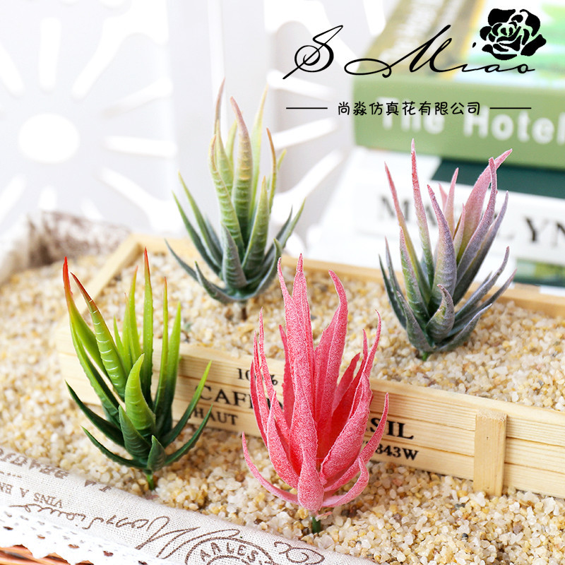 วูสมาร์ท บันหม่า ลู่ฮุย ต้นไม้ - Succulent Arrangement Mini บทวิจารณ์และราคา