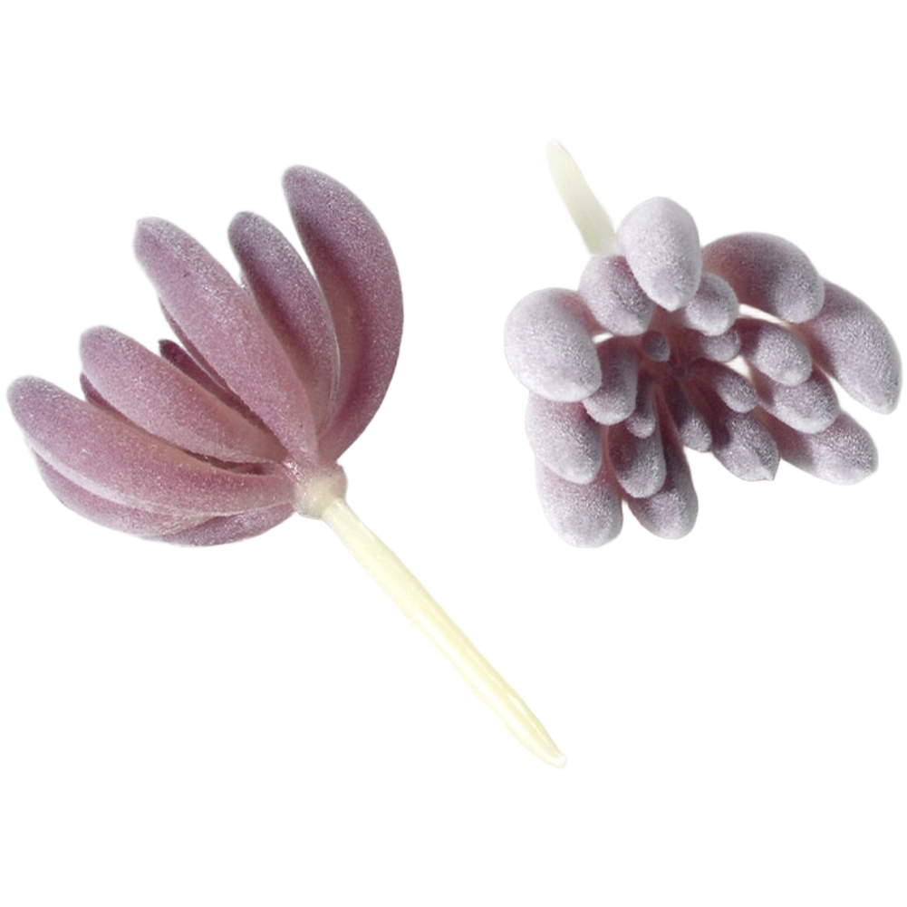 ต้นไม้ประดิษฐ์ PVC สีม่วงแบบฟล - Succulent Arrangement Mini บทวิจารณ์และราคา