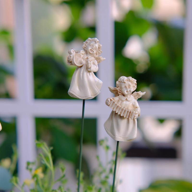 Angel Flower Arranger สําหรับ  - Succulent Arrangement Mini บทวิจารณ์และราคา