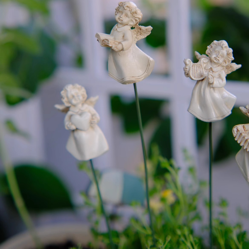 Angel Flower Arranger สําหรับ  - Succulent Arrangement Mini บทวิจารณ์และราคา